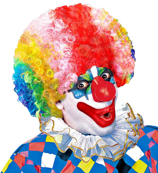 e-carnavalskleding-SYK Clownspruik regenboog