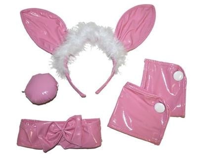 e-carnavalskleding-SYK Bunny set roze 4-dlg pvc