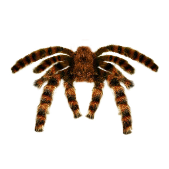 e-carnavalskleding-SYK Nep Tarantula spin met haren 65cm