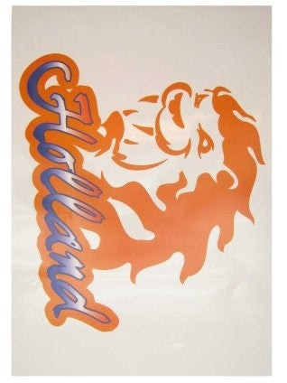 e-carnavalskleding-SYK Raamsticker Holland 35x55cm